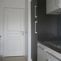 Castorama Bloc-porte Isolant 3 Panneaux H.204 X L.83 Cm, Poussant Gauche