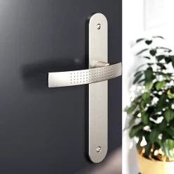 Castorama Ensemble Poignée Sur Plaque Rond GoodHome Diss Effet Nickel Satin Gris L.139mm X L.40mm Entraxe 195mm