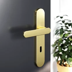 Castorama Ensemble Poignée Sur Plaque Rond Serrure GoodHome Minzh Effet Laiton Satin Doré L.120mm X L.42mm Entraxe 165-195mm