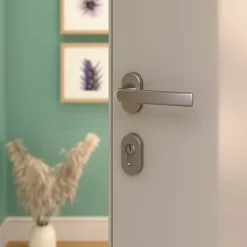 Castorama Ensemble Poignée Sur Rosace Incurvé à Visser GoodHome Primel Effet Nickel Satin Gris Chromé