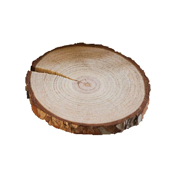 Castorama Rondelle De Chataignier D.5/6 Cm ép. 10 Mm (filet De 10 Pc) 1 Castorama Rondelle De Chataignier D.5/6 Cm ép. 10 Mm (filet De 10 Pc)